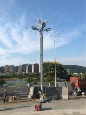 市政中华灯
